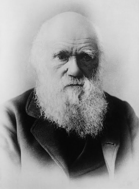 Penemu Teori Evolusi - Charles Darwin Penemu Teori Evolusi - Charles Darwin