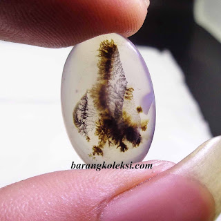 batu mustika lipan, cara menggunakan mustika lipan, harga mustika lipan, ciri ciri mustika lipan yang asli, cara mendapatkan mustika lipan, khasiat batu lipan, mustika lipan tembus pandang, harga batu lipan, ciri ciri lipan yang memiliki mustika, mustika bertuah, batu mustika, geliga lipan, mustika lipan, geliga lipan bunian, bartau mustika asli, mustika tarikan, koleksi mustika, barang koleksi, pusaka dunia, pusaka bertuah, pusaka mistik, barang mistik, bumi mustika, benda bertuah, mustika alam, mustika bertuah, batu mustika lipan, cara menggunakan mustika lipan, harga mustika lipan, ciri ciri mustika lipan yang asli, cara mendapatkan mustika lipan, khasiat batu lipan, mustika lipan tembus pandang, harga batu lipan, ciri ciri lipan yang memiliki mustika, mustika bertuah, batu mustika, geliga lipan, mustika lipan, geliga lipan bunian, bartau mustika asli, mustika tarikan, koleksi mustika, barang koleksi, pusaka dunia, pusaka bertuah, pusaka mistik, barang mistik, bumi mustika, benda bertuah, mustika alam, mustika bertuah,