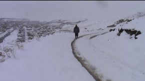 nevada puno