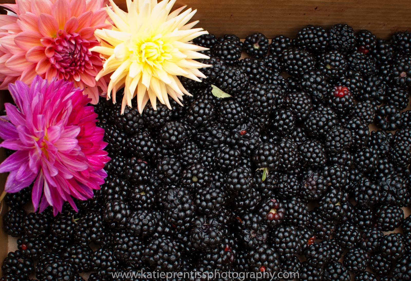 Eyes To See Happy Friday 8 31 12 eyes-to-see-happy-friday-8-31-12