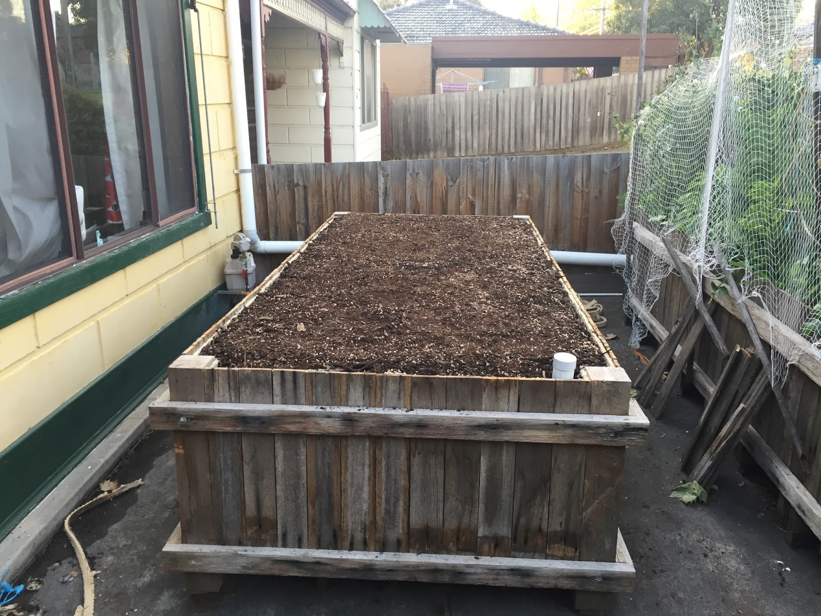 Nedly on his Treadly Wicking Bed Construction