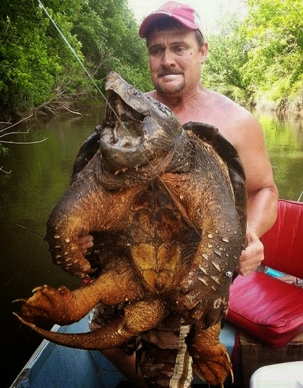 Έμεινε άφωνος όταν ψάρεψε προϊστορική χελώνα αλιγάτορα 45 κιλών