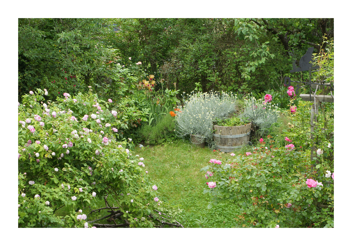 jardin de marguerite