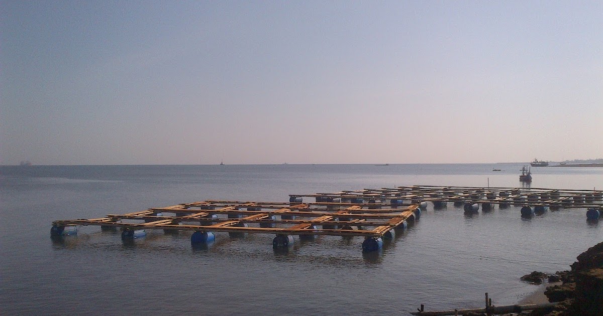 BUDIDAYA PERIKANAN INDONESIA 45