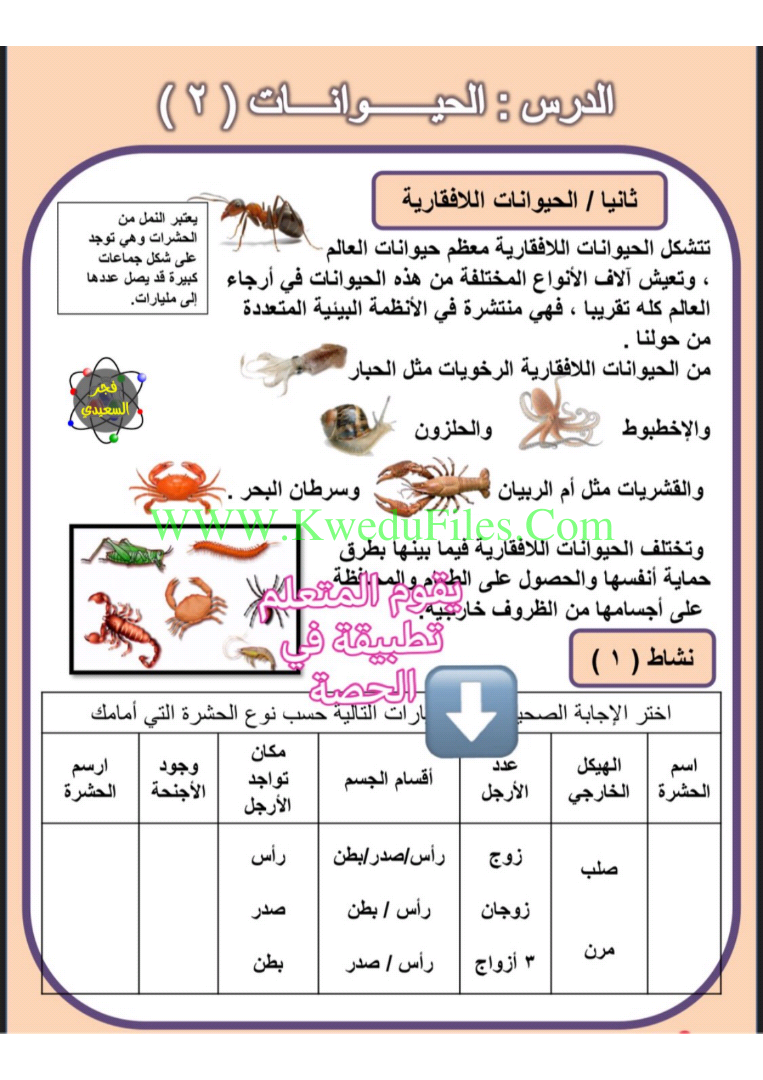 درس الحيوانات 2 منهج مساند الصف الرابع علوم الفصل الثاني المناهج الكويتية