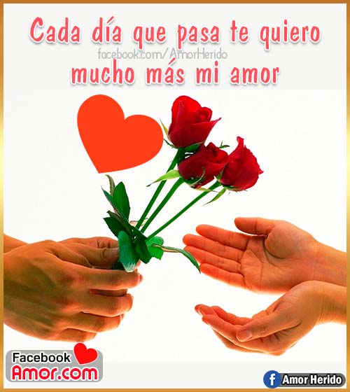 imágenes de rosas para amor imágenes de rosas para amor