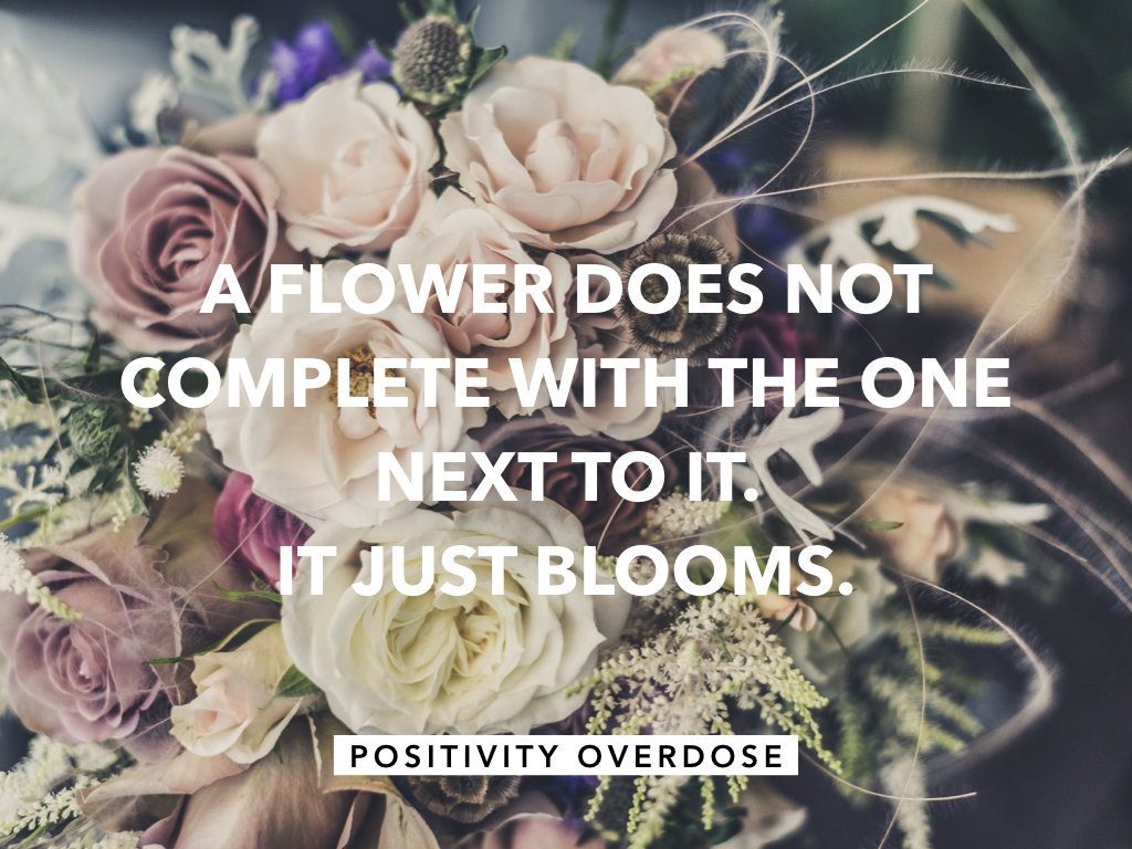 Positivity Overdose A flower doesn't compete with the one next to it.