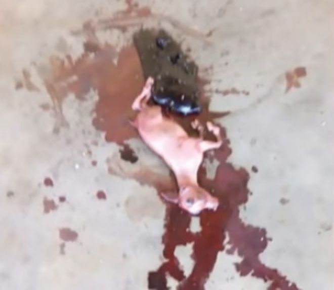 FOTO: Captura de video