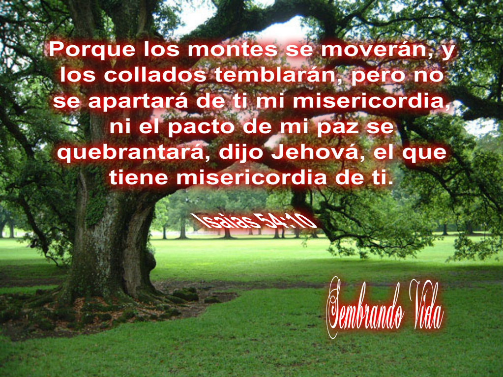 IGL SEMBRANDO VIDA MERLO: Isaias 54:10