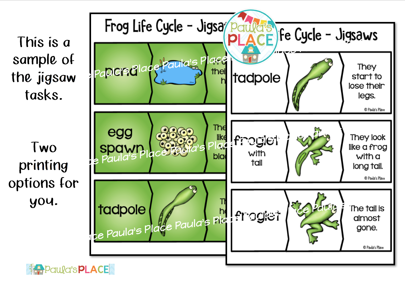 Paula's Place Frogs and Ladybugs