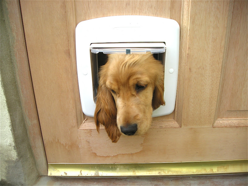 Amanda's Musings A new back door