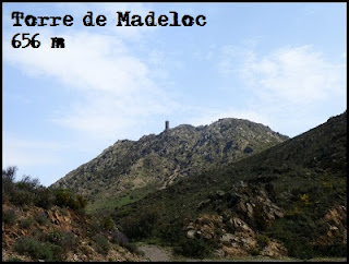 Siguenos en Facebook