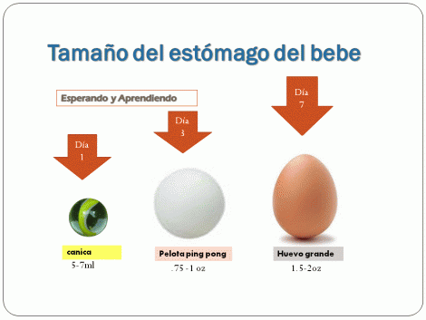 Que alimentos me producen mas leche materna