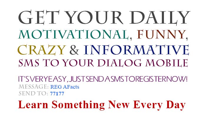 Get your Daily Motivational, Funny, Crazy and Informative SMS to your Dialog Mobile
