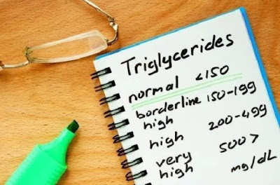 Triglycerides thế nào thì bình thường?