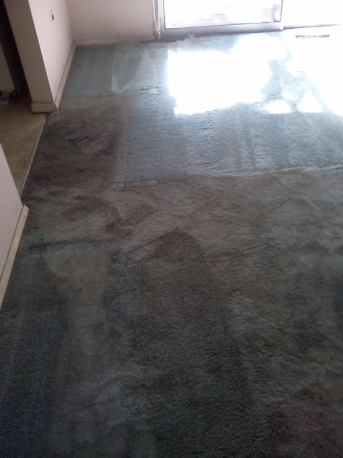 Cooper's Carpet Cleaning and Floor Care Blog