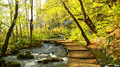 http://4.bp.blogspot.com/-0ak6SgeNvIY/VBjrWzf8HrI/AAAAAAACHZI/EVFRXN6mdQI/s1600/0618gif%2Bpaisaje.gif