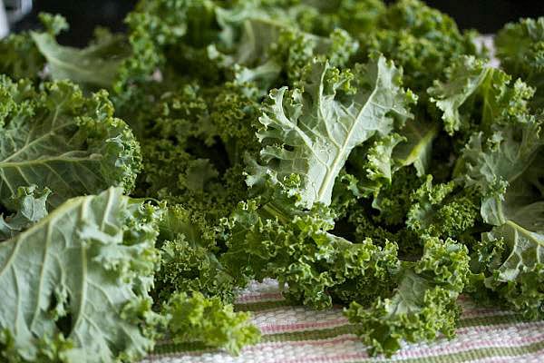 Make your own kale powder for smoothies, soups, baking and more