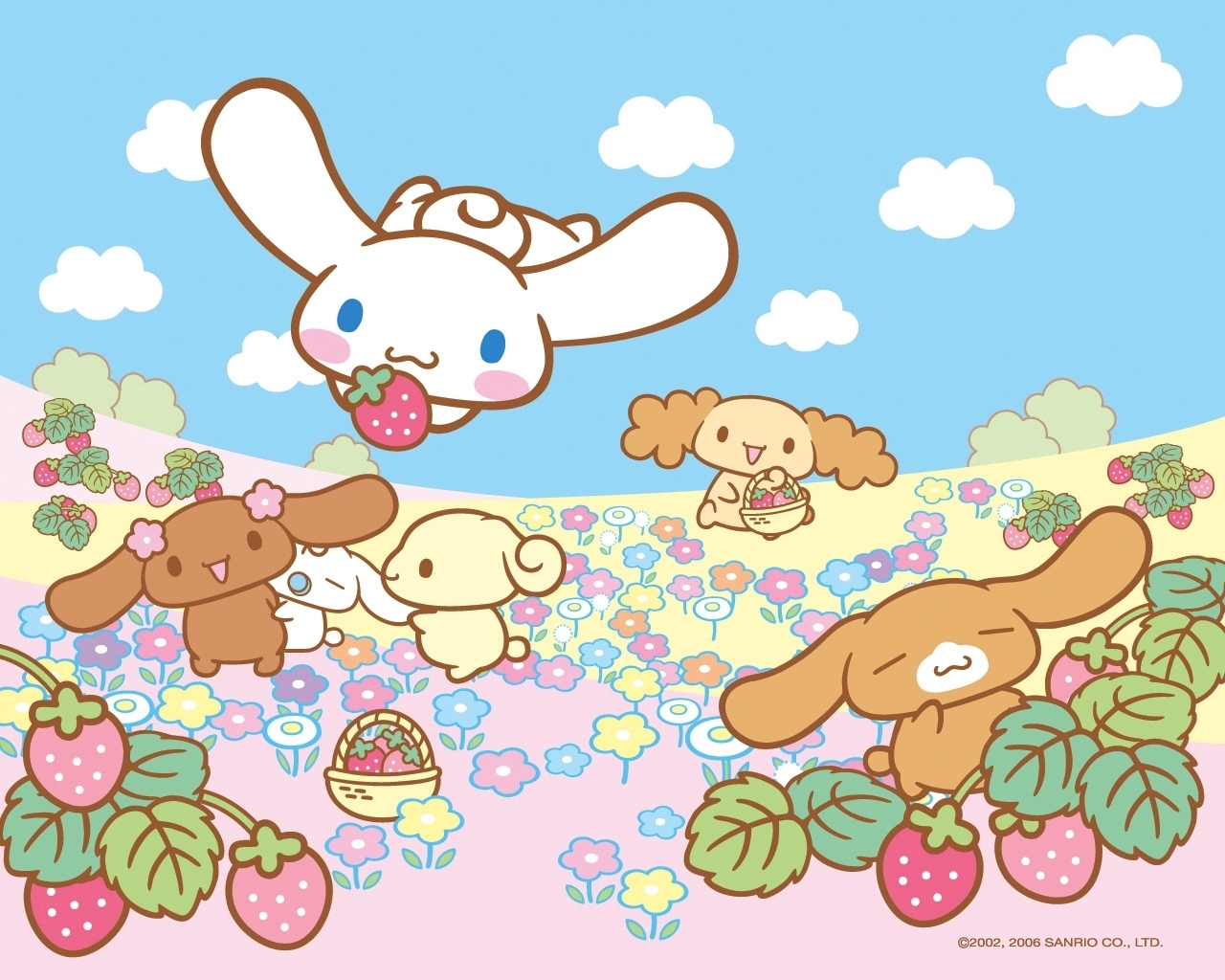 Netkids cinnamoroll