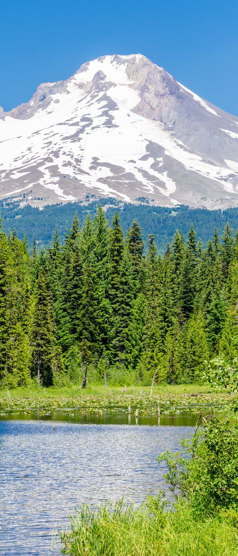 Mount Hood National Forest, Oregon and 50+ Secret Places in America That Most Tourists Don't Know About Mount Hood National Forest, Oregon and 50+ Secret Places in America That Most Tourists Don't Know About