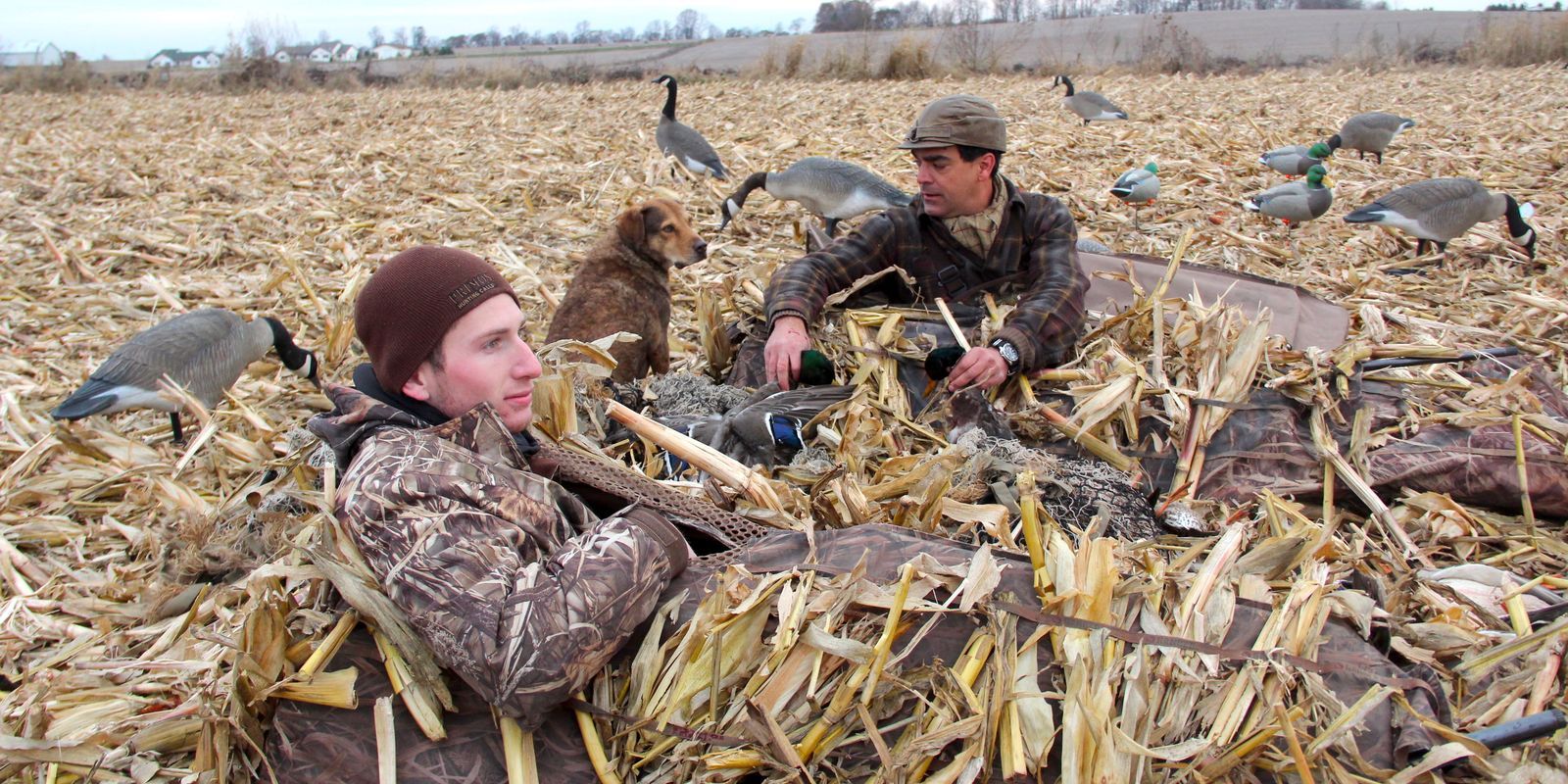 Insightful Duck Hunting Tips