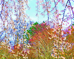 trees branches spring painting paintings unusual artists watercolor