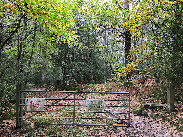 Gate into the woods. Ashdown, 15 October 2017. Gate into the woods. Ashdown, 15 October 2017.