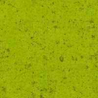 Tileable pear texture