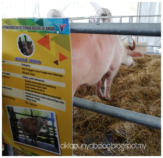 Jalan-jalan di SELANGOR AGROFEST 2018. Jalan-jalan di SELANGOR AGROFEST 2018.