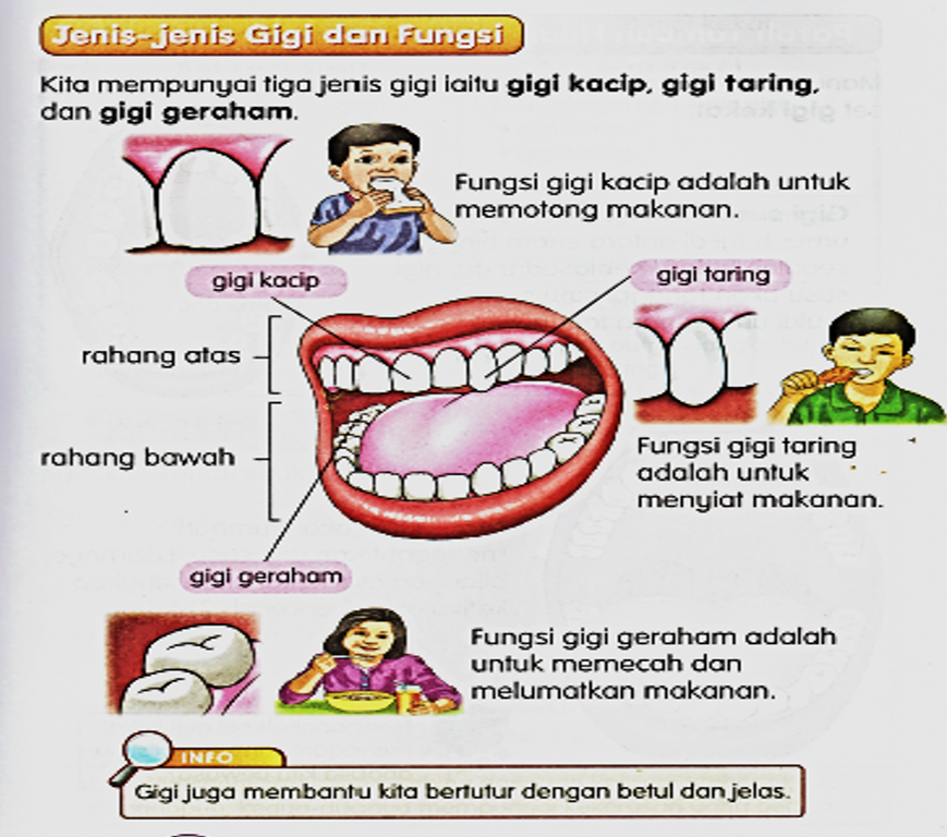 Dunia Sains dan Teknologi (Belajar dengan Ceria): Jenis 