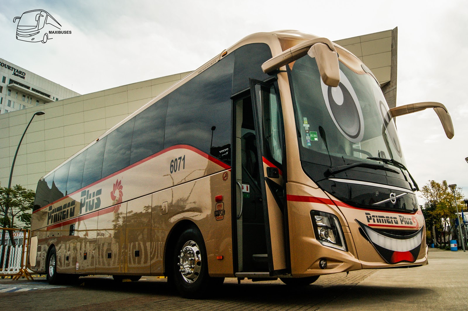 MAXIBUSES PRIMERA PLUS