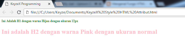 Penggunaan Fungsi Tag Style pada HTML