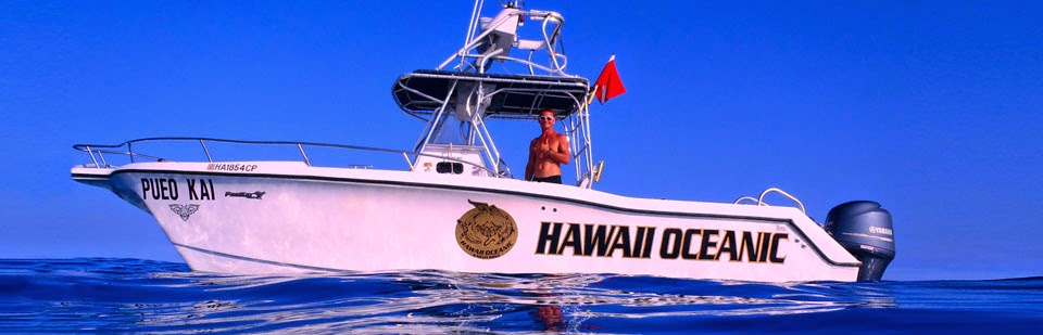 Swim with Dolphins, Snorkel with Manta Rays, Whale Watching, Boat Tours Kona Hawaii