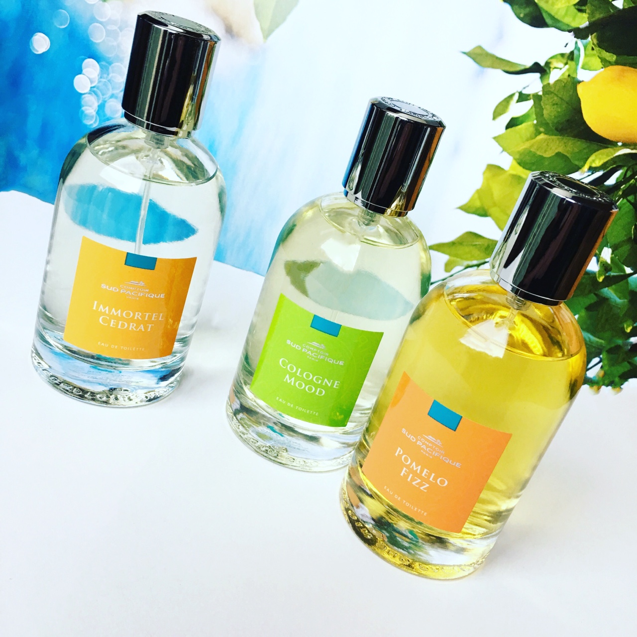 The Beauty Cove IL PROFUMO Collezione JARDINS POP • IMMORTEL CEDRAT ⋆