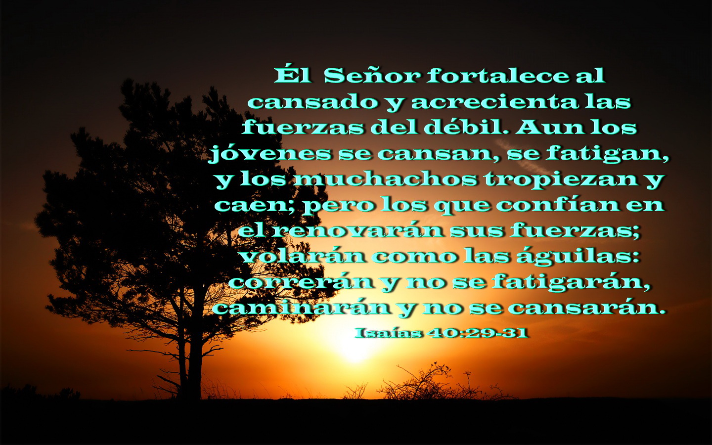 Biblia, paisajes y maravillas Isaías 402931