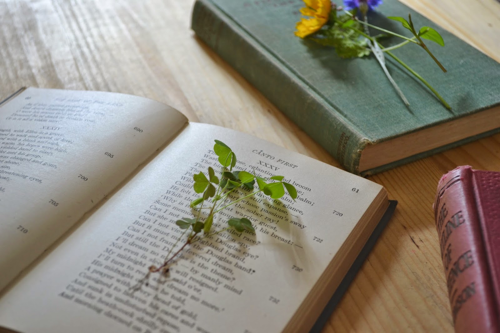 Attic Lace How to Press Flowers Using Books