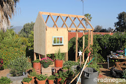 radmegan: in words and pictures: Constructing a Chicken