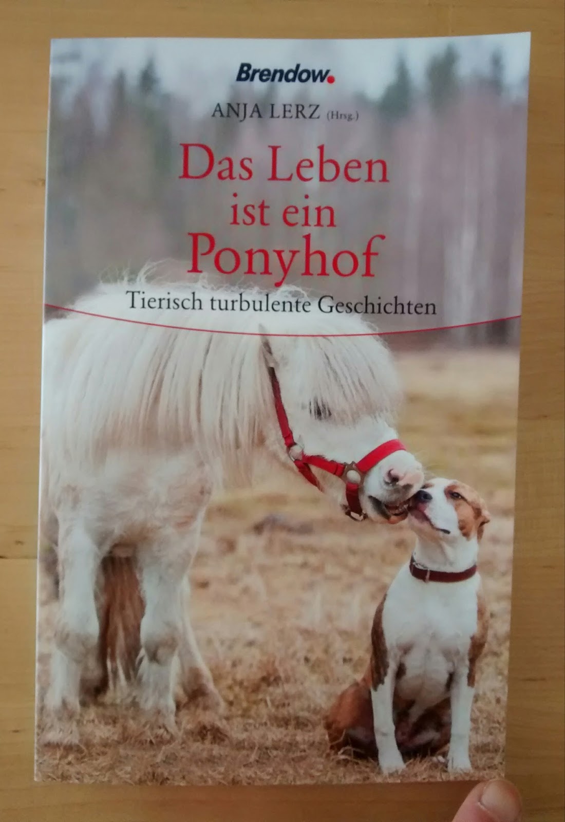 Leben = Ponyhof?