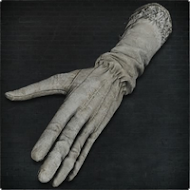 Surgical Long Gloves
