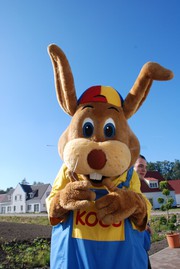 Aktivitäten mit Koos Konijn (und im Koos Kids Club) — Roompot