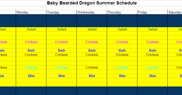 Bearded Dragon Blog Baby Bearded Dragon Schedule