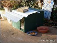 Insulated feral cat shelter: cat house