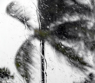 صور مطر 2022 اجمل خلفيات عن المطر