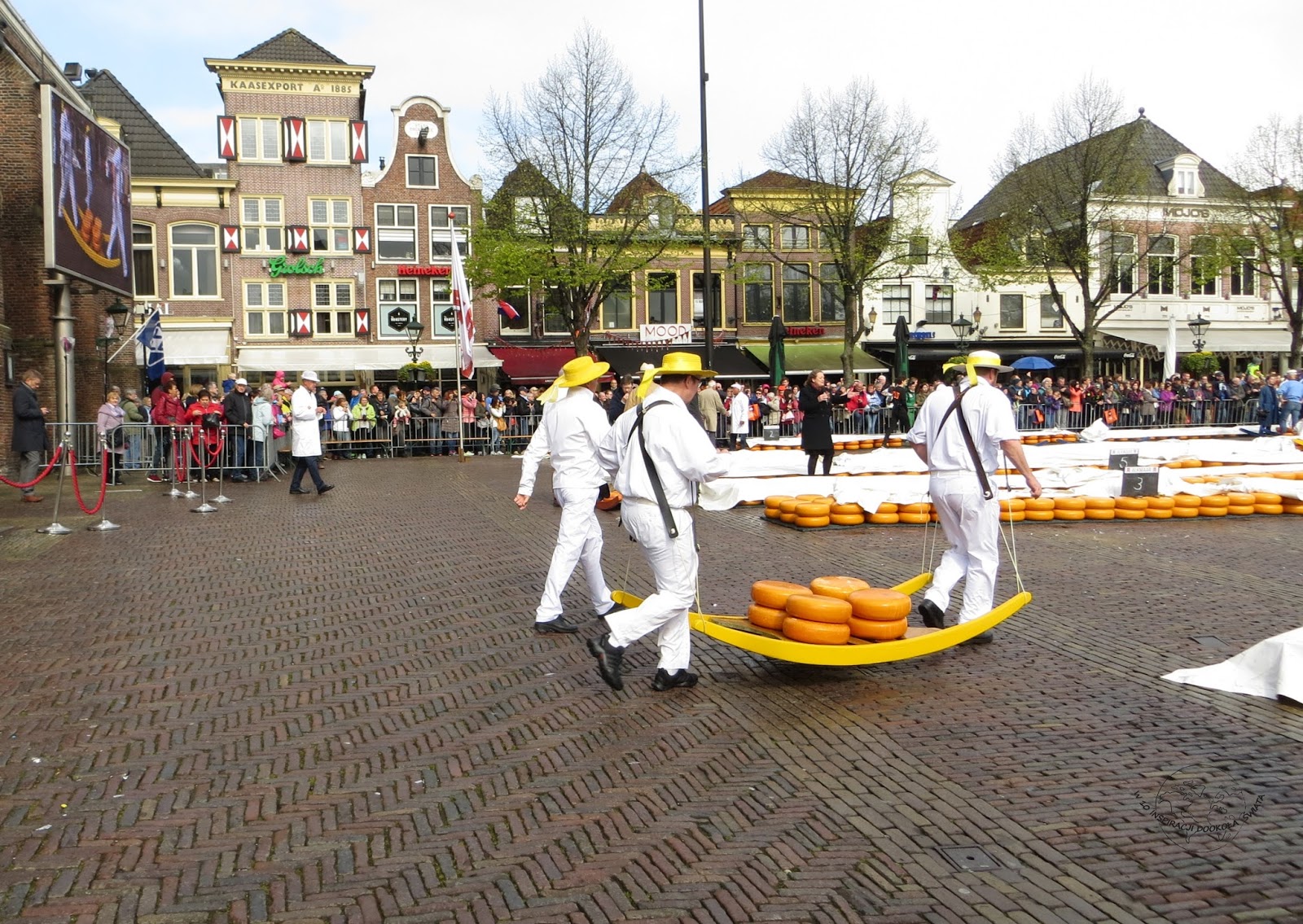 Targ serowy w Alkmaar