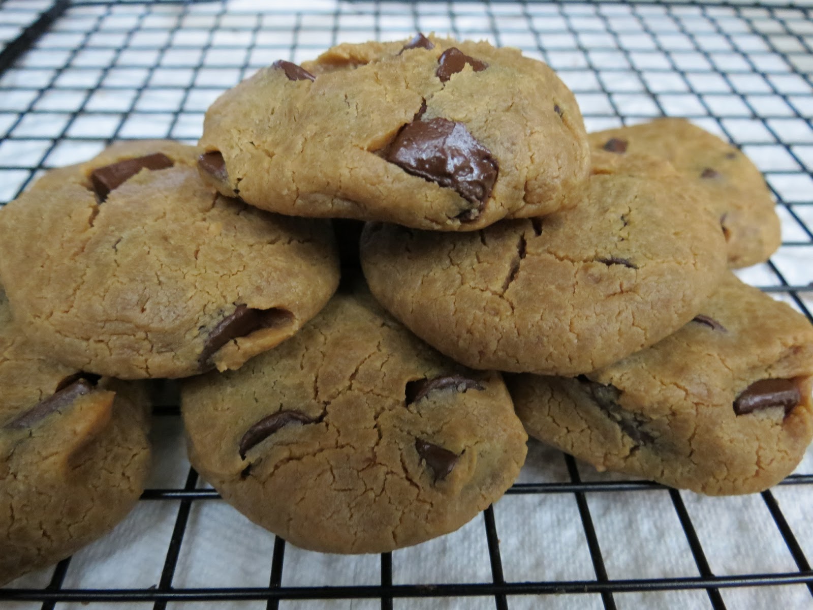 Dizzy in the Kitchen GrainFree Peanut Butter Chocolate Chip Cookies