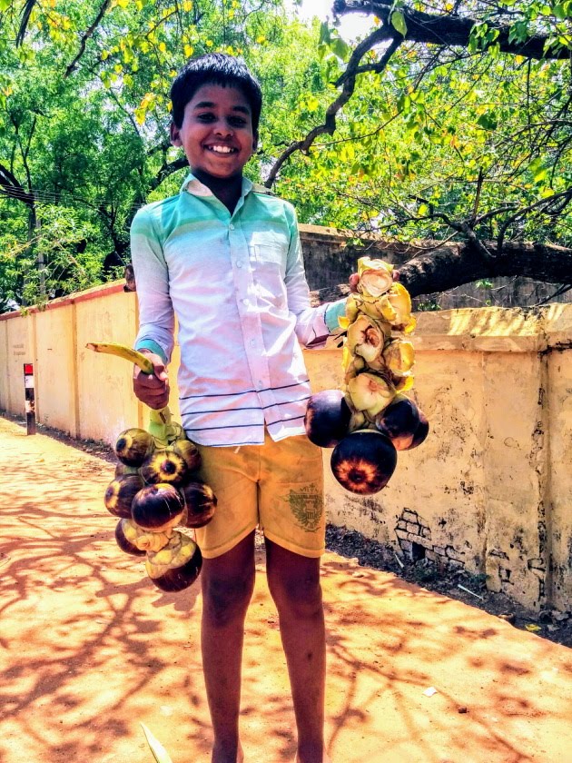 Street photograph of a boy holding the palm fruit at Kallidaikurichi, Tamil Nadu, India