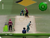 EA Cricket 2013 Screenshot 11