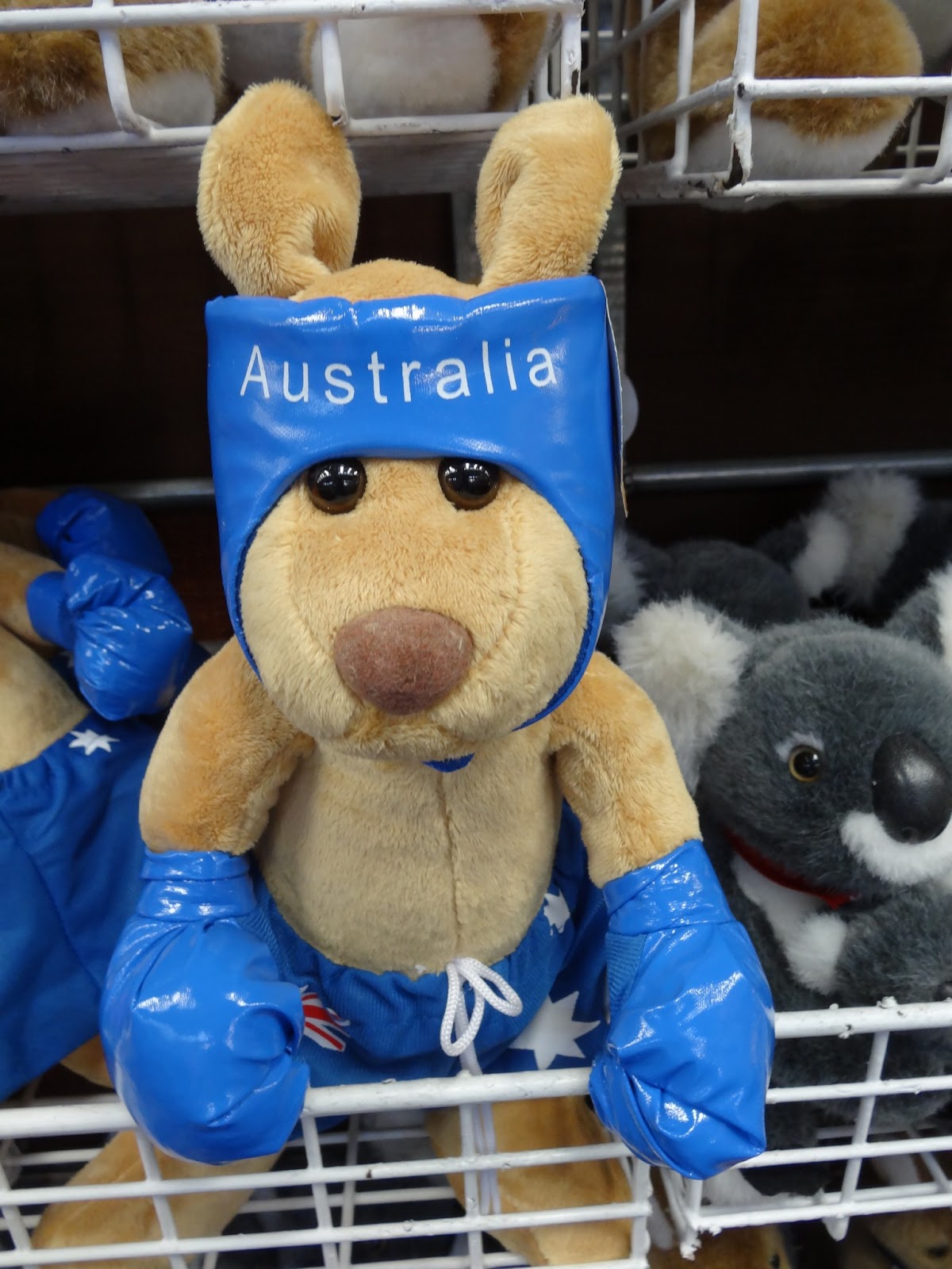 American Days: Однажды в Австралии. Глава 4