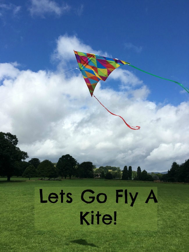 Lets Go Fly A Kite! Teddy Bears And Cardigans