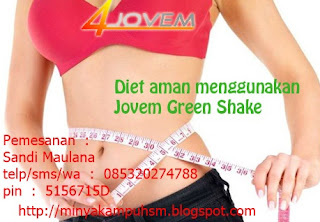 Cara Diet SEhat Dengan GReen Shake dari jovem Sandi Maulana